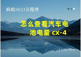 怎么查看汽车电池电量 cx-4