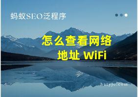 怎么查看网络地址 WiFi