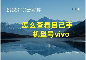 怎么查看自己手机型号vivo