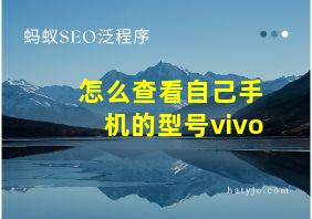 怎么查看自己手机的型号vivo