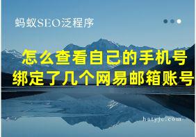 怎么查看自己的手机号绑定了几个网易邮箱账号