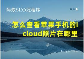 怎么查看苹果手机的icloud照片在哪里