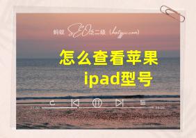 怎么查看苹果ipad型号