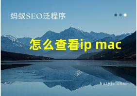 怎么查看ip mac