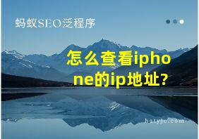 怎么查看iphone的ip地址?