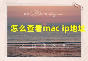 怎么查看mac ip地址