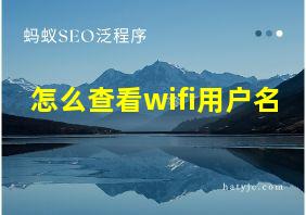 怎么查看wifi用户名