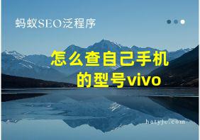 怎么查自己手机的型号vivo