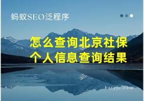 怎么查询北京社保个人信息查询结果