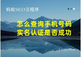 怎么查询手机号码实名认证是否成功