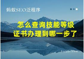 怎么查询技能等级证书办理到哪一步了