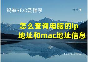 怎么查询电脑的ip地址和mac地址信息