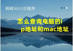 怎么查询电脑的ip地址和mac地址