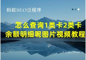 怎么查询1类卡2类卡余额明细呢图片视频教程