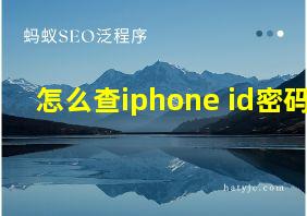 怎么查iphone id密码