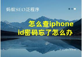 怎么查iphoneid密码忘了怎么办