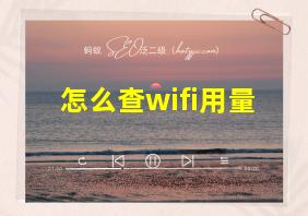 怎么查wifi用量