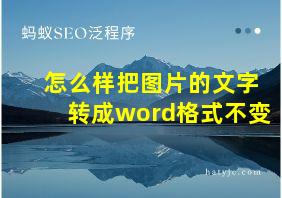 怎么样把图片的文字转成word格式不变