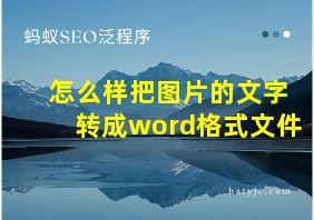 怎么样把图片的文字转成word格式文件