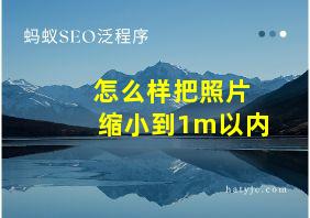 怎么样把照片缩小到1m以内