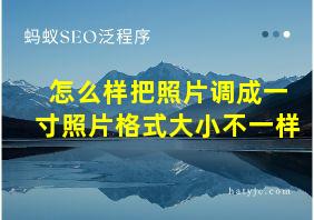 怎么样把照片调成一寸照片格式大小不一样