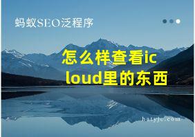 怎么样查看icloud里的东西