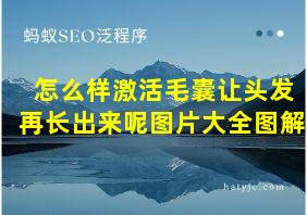 怎么样激活毛囊让头发再长出来呢图片大全图解