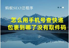 怎么用手机号查快递包裹到哪了没有取件码