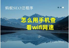 怎么用手机查看wifi网速