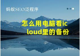 怎么用电脑看icloud里的备份