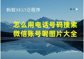 怎么用电话号码搜索微信账号呢图片大全