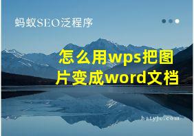 怎么用wps把图片变成word文档