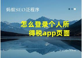 怎么登录个人所得税app页面