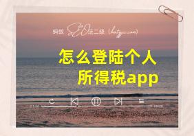 怎么登陆个人所得税app