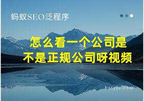 怎么看一个公司是不是正规公司呀视频