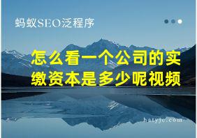 怎么看一个公司的实缴资本是多少呢视频