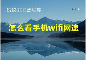 怎么看手机wifi网速