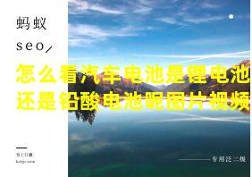 怎么看汽车电池是锂电池还是铅酸电池呢图片视频