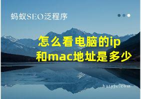 怎么看电脑的ip和mac地址是多少