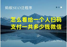 怎么看给一个人扫码支付一共多少钱微信