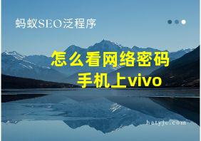 怎么看网络密码手机上vivo