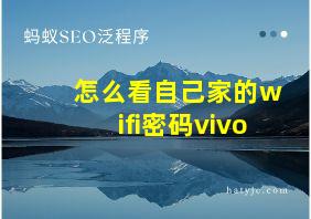 怎么看自己家的wifi密码vivo