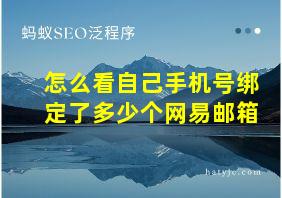 怎么看自己手机号绑定了多少个网易邮箱