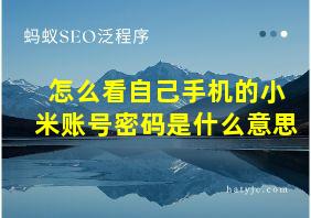 怎么看自己手机的小米账号密码是什么意思