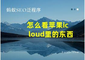 怎么看苹果icloud里的东西