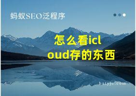 怎么看icloud存的东西