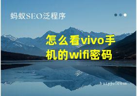 怎么看vivo手机的wifi密码