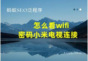 怎么看wifi密码小米电视连接