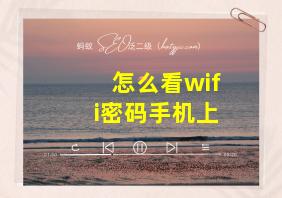 怎么看wifi密码手机上