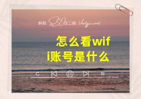 怎么看wifi账号是什么